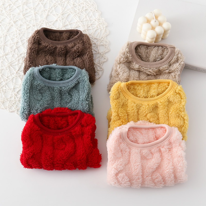 Ropa Nueva de Otoño e Invierno para Mascotas, Chaqueta de Algodón Cálida para Perros, Chaleco de Terciopelo de Doble Cara, Ropa para Teddy y Gatos — imagen 3