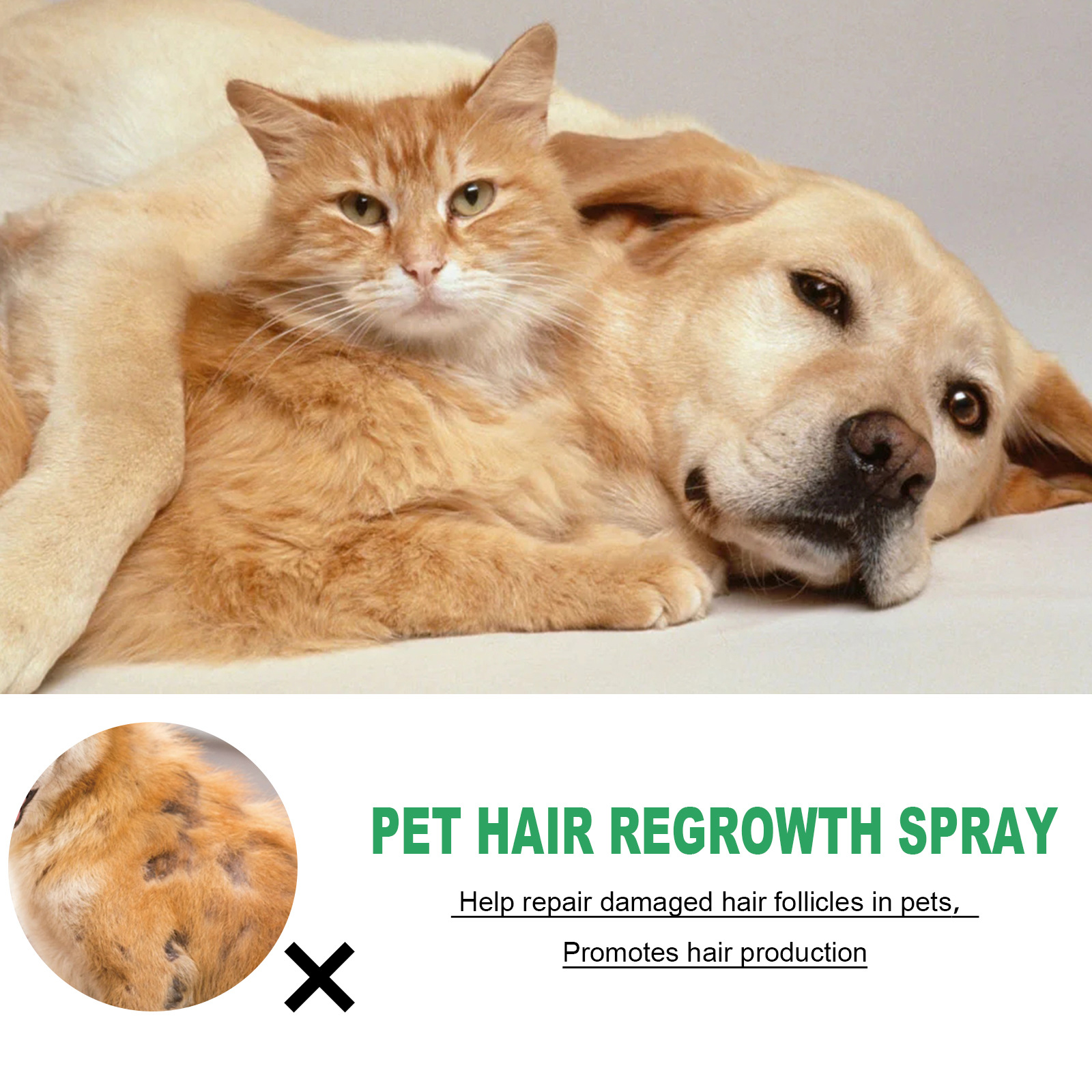 Pet Hair Growth Spray for Cats and Dogs - Hair Care Treatment for Damaged Follicles and Hair Loss — image 3