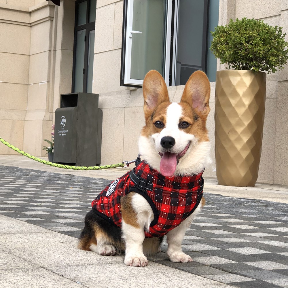 Autumn And Winter Pet Clothes Red Christmas Dog Cotton Clothes Reflective Warmth Small And Medium-Sized Dog Coat Clothing — image 4