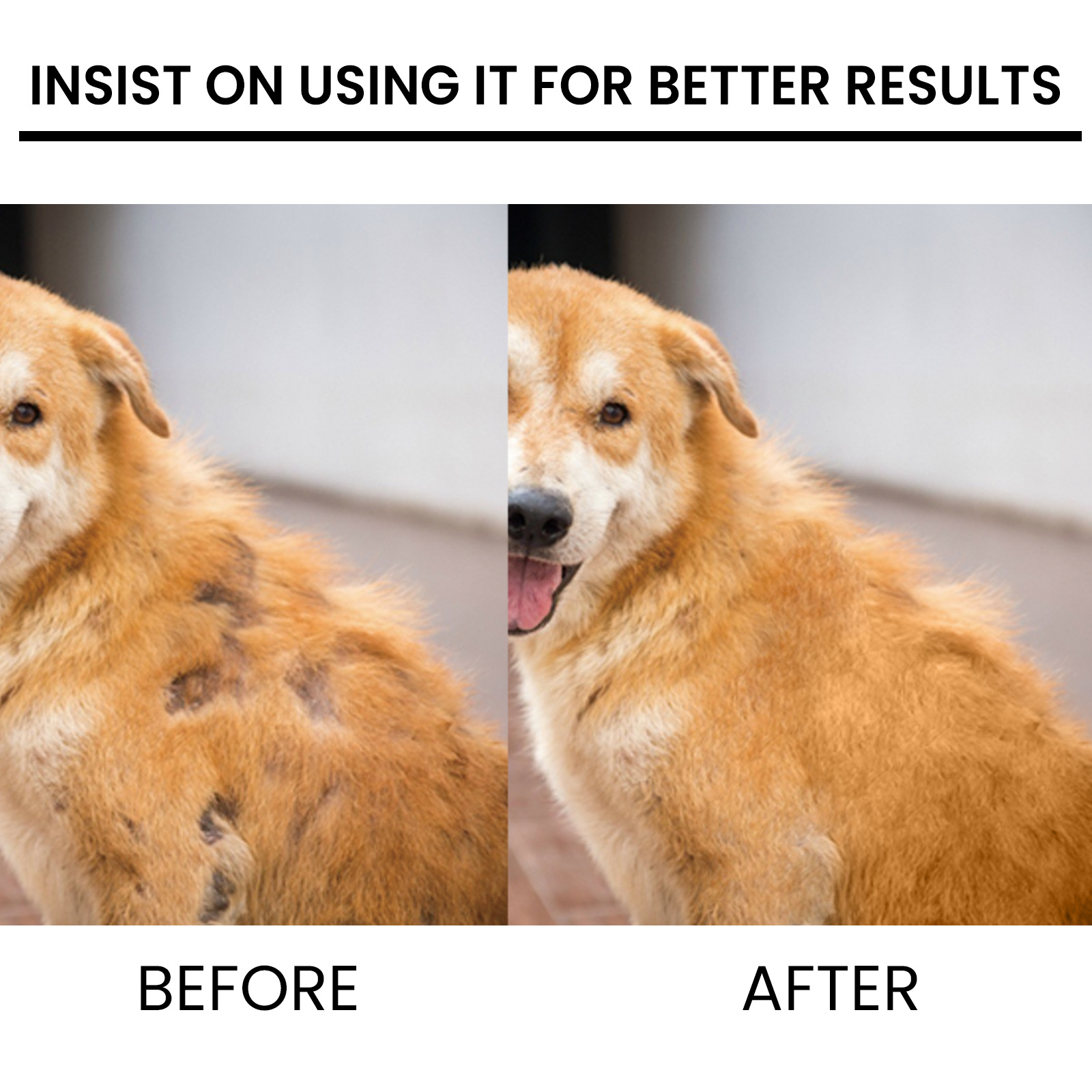 Pet Hair Growth Spray for Cats and Dogs - Hair Care Treatment for Damaged Follicles and Hair Loss — image 4