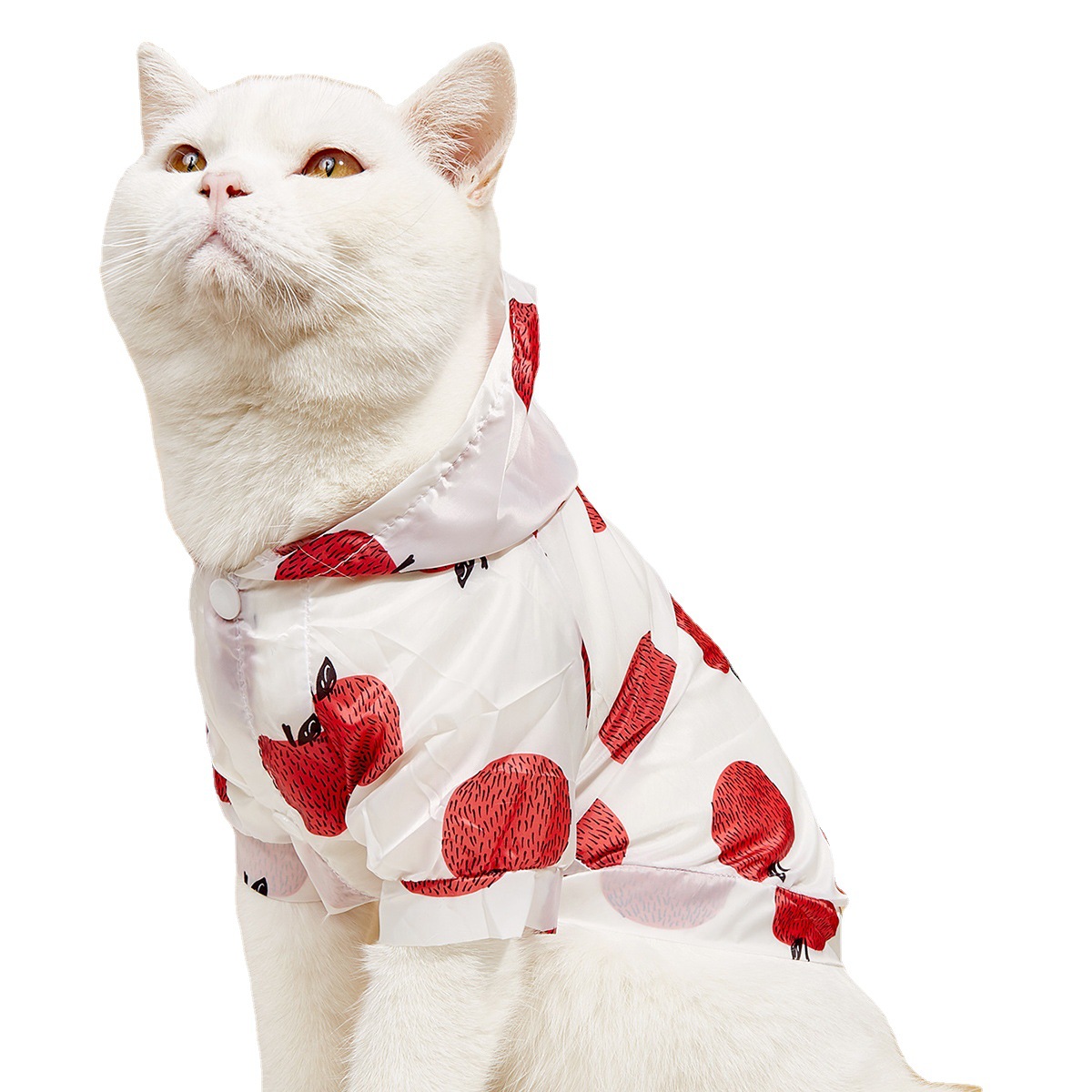 Summer New Pet Cat Supplies Shirt Dog Sun Protection Clothing With Hood Thin Section Breathable Fruit Printing Sun Protection Clothing — image 5