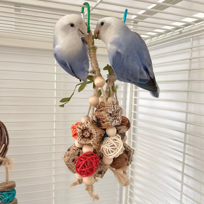 Bird Toys Colorful Hanging Chew Parrot Toys Parakeet Puzzle Training Relief Bite String Cage Decorative Bird Accessories — image 5