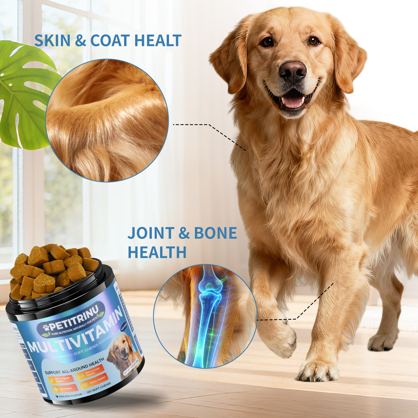 Solo Recogida en Tienda - Diversas Vitaminas para Perros — imagen 5