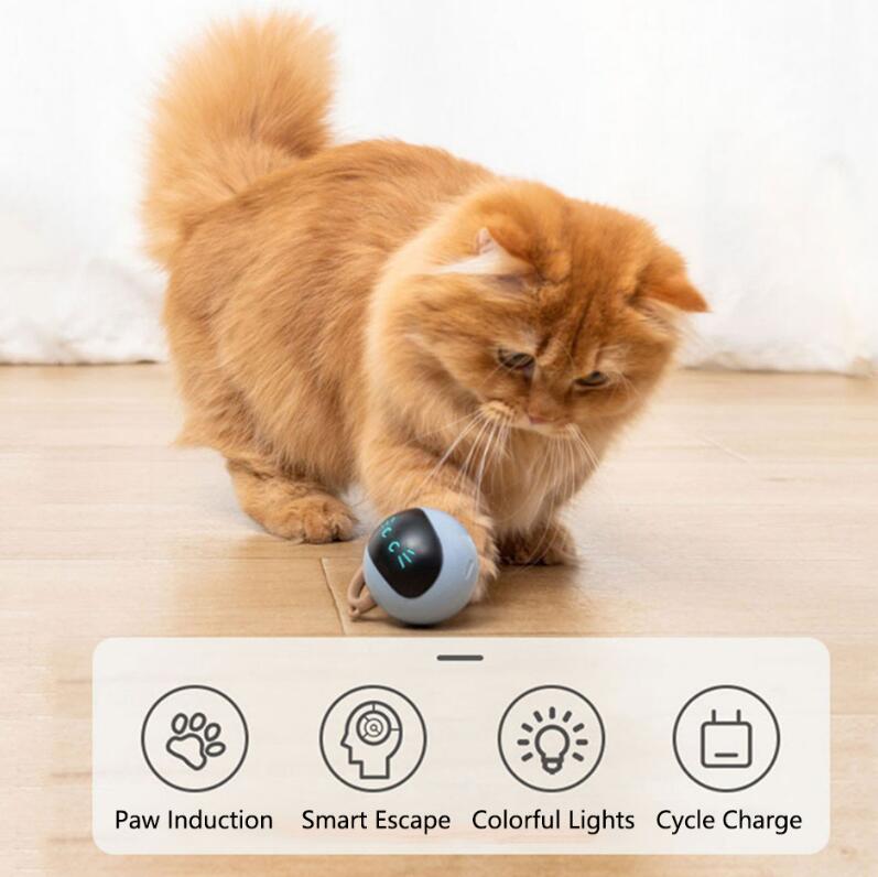 Fofos Two Lucky Raccoon Magic Ball Cat Toy Electric Intelligent Automatic Funny Cat Ball Relieve Boredom And Bite Led Light — image 1