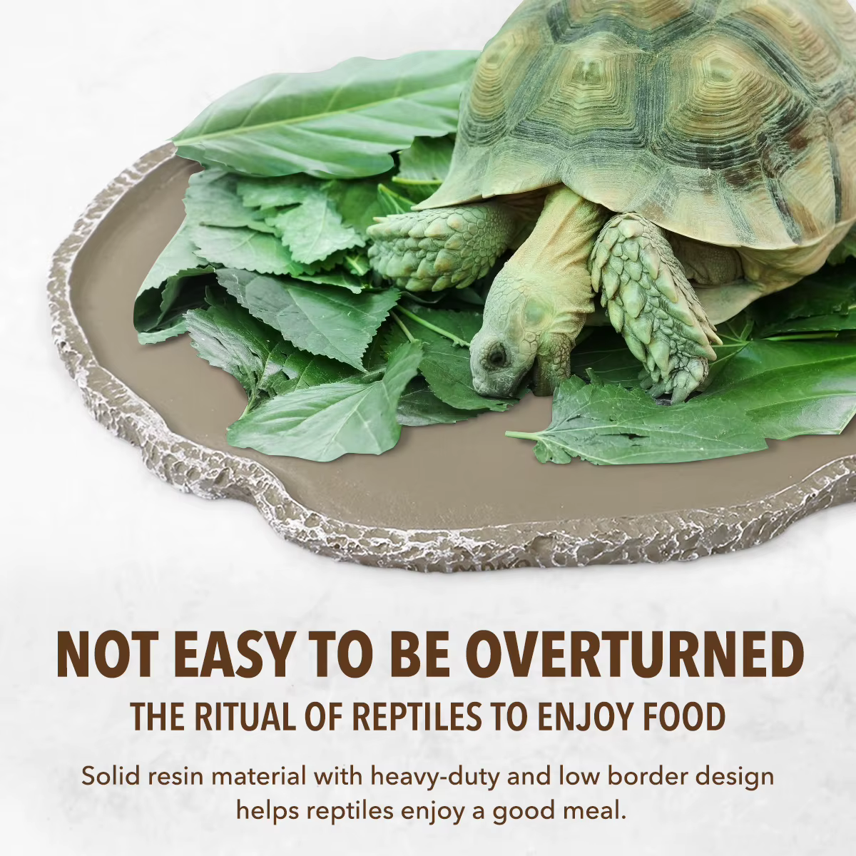 Pets Feeding Plate Reptile Feeding Bowl Vivarium Food Water Dish Resin Bowl For Turtle Gecko Snake Breeding Tray Reptile Bowls — image 5