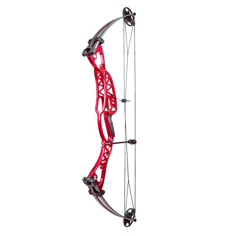 Junxing M106 Arco y Conjunto de Flechas para Caza Adultos - Arco Compuesto para Tiro con Arco — imagen 1