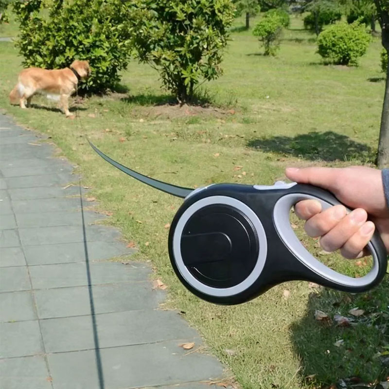 Retractable Dog Leash (5m/8m, 50kg capacity) – Adjustable, durable, for small/big dogs (walking, hiking) — image 9