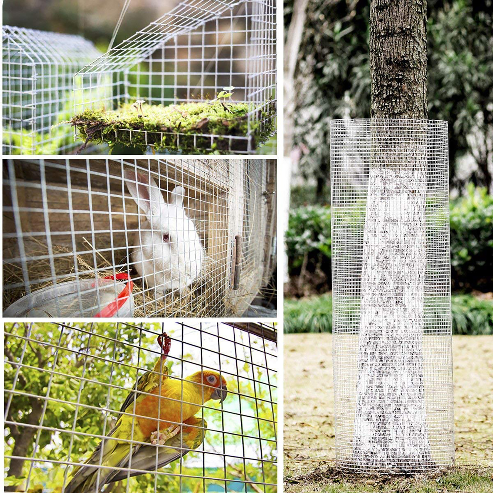 Ralla de Alambre para Gallinas - Caja de Malla Metálica Galvanizada — imagen 8