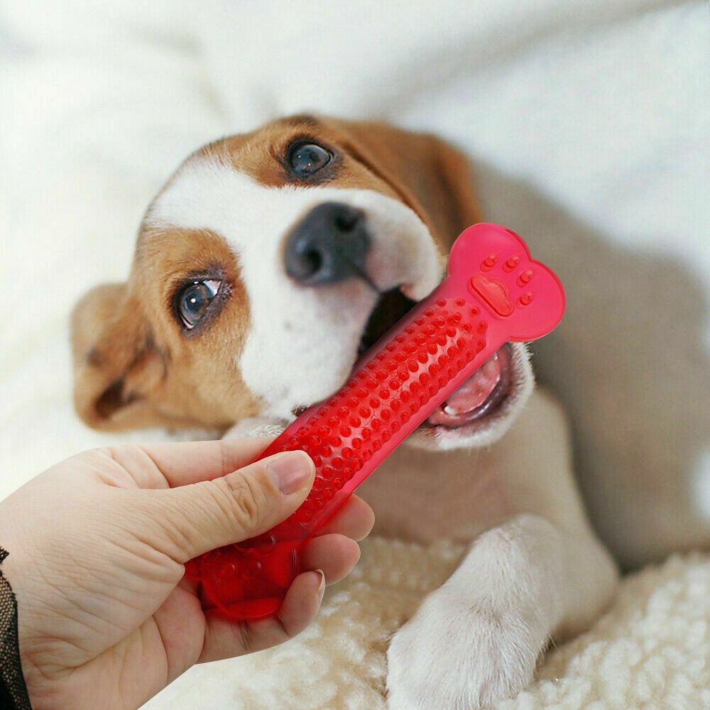 Pet Dog Chew Toys Rubber Bone Toy Aggressive Chewers Dog Toothbrush Doggy Puppy Dental Care — image 5