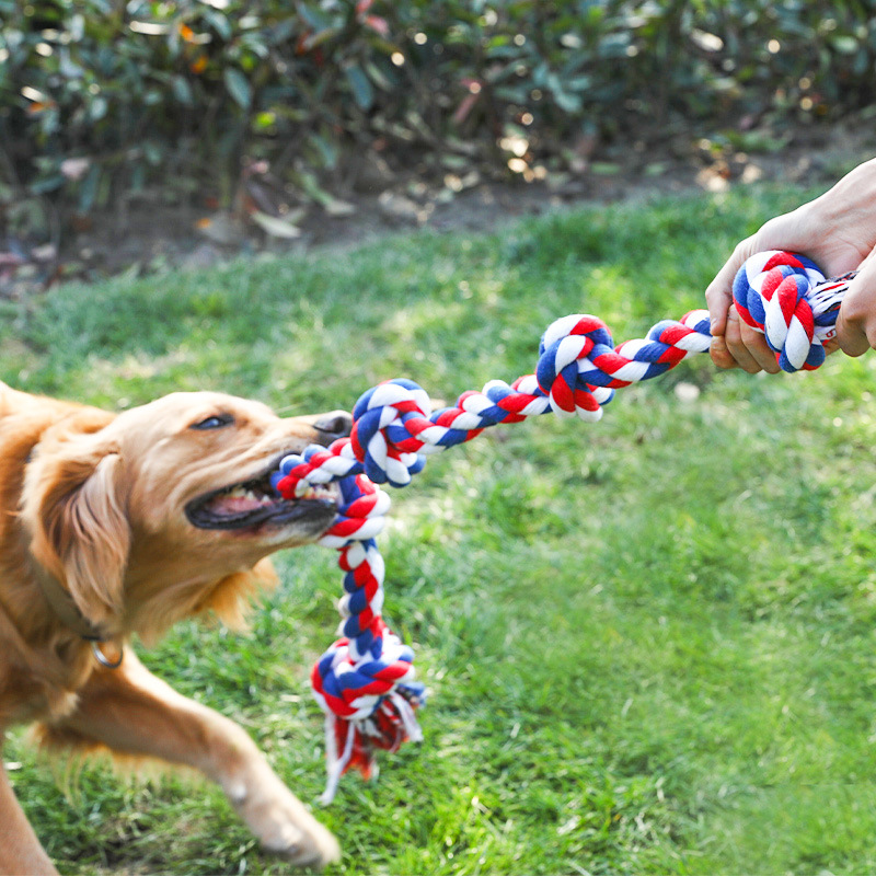 Juguetes de Cuerda Duraderos para Perros y Gatos - 5 Nudos de Cuerda de Algodón Blanco, Rojo, Azul — imagen 2