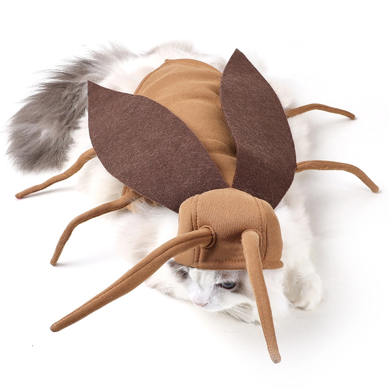Disfraz de transformación divertido para mascotas - Insecto cucaracha o gato para Halloween — imagen 1