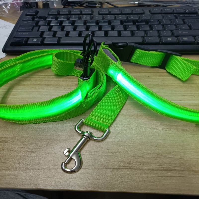 Pet Leash LED Light-Emitting Dog Leash 120CM Length 6 Colors — image 2