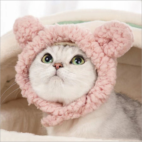 Sombrero para mascotas con orejas expuestas anti-pérdida de pelo ajustable sombrero pequeño para perros — imagen 19