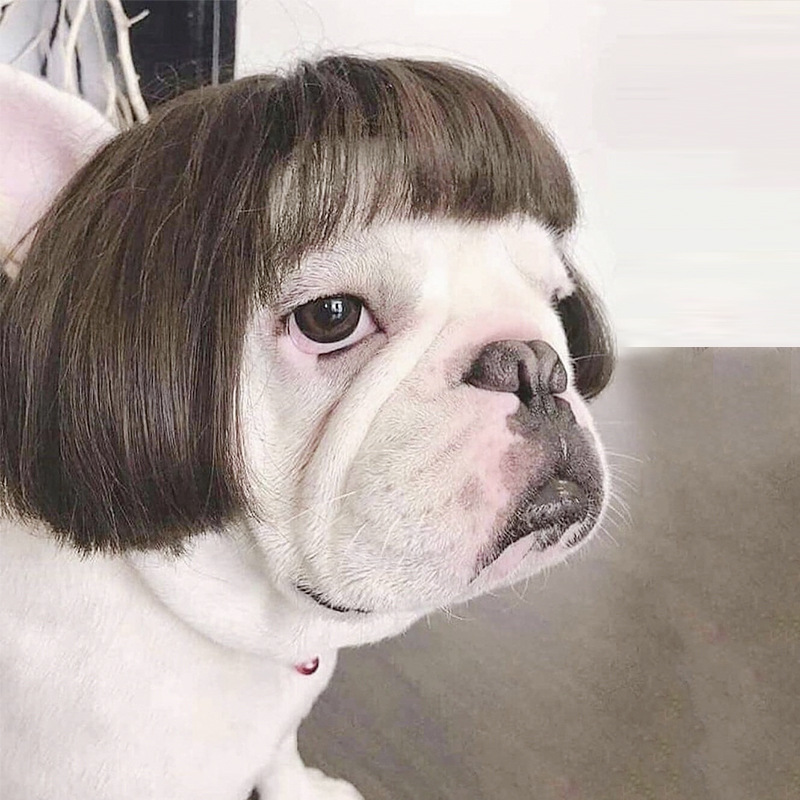 Accesorio de peluche para mascotas con pelo rizado y liso para Halloween — imagen 3