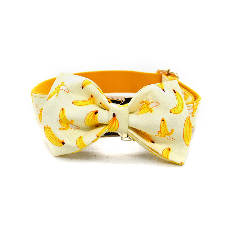 Collar de Trazo Amarillo para Perros con Cuerda de 1.5m y Broche de Oro Personalizable — imagen 5