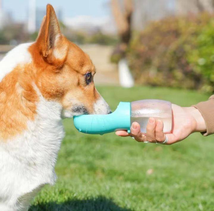 Pet Dog Water Bottle 300ML Puppy Drinking Bowls For Small Medium Dogs Cats Hiking Portable Cat Feeder Golden Retriever Supplies — image 4