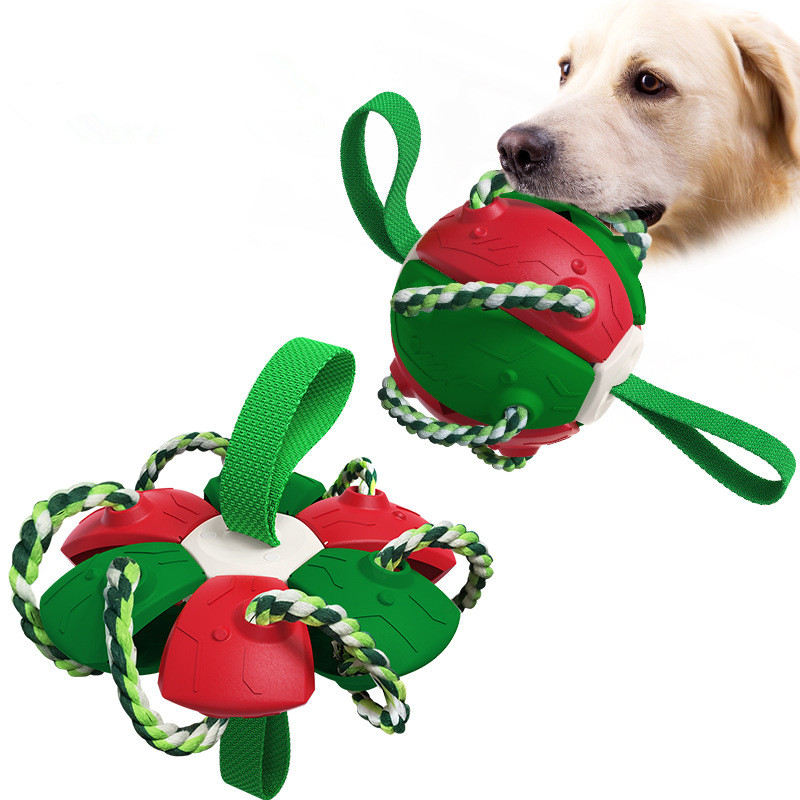 Pet Supplies Throwing Frisbee Outdoor Training Interactive Frisbee Football Dog Toy — image 4