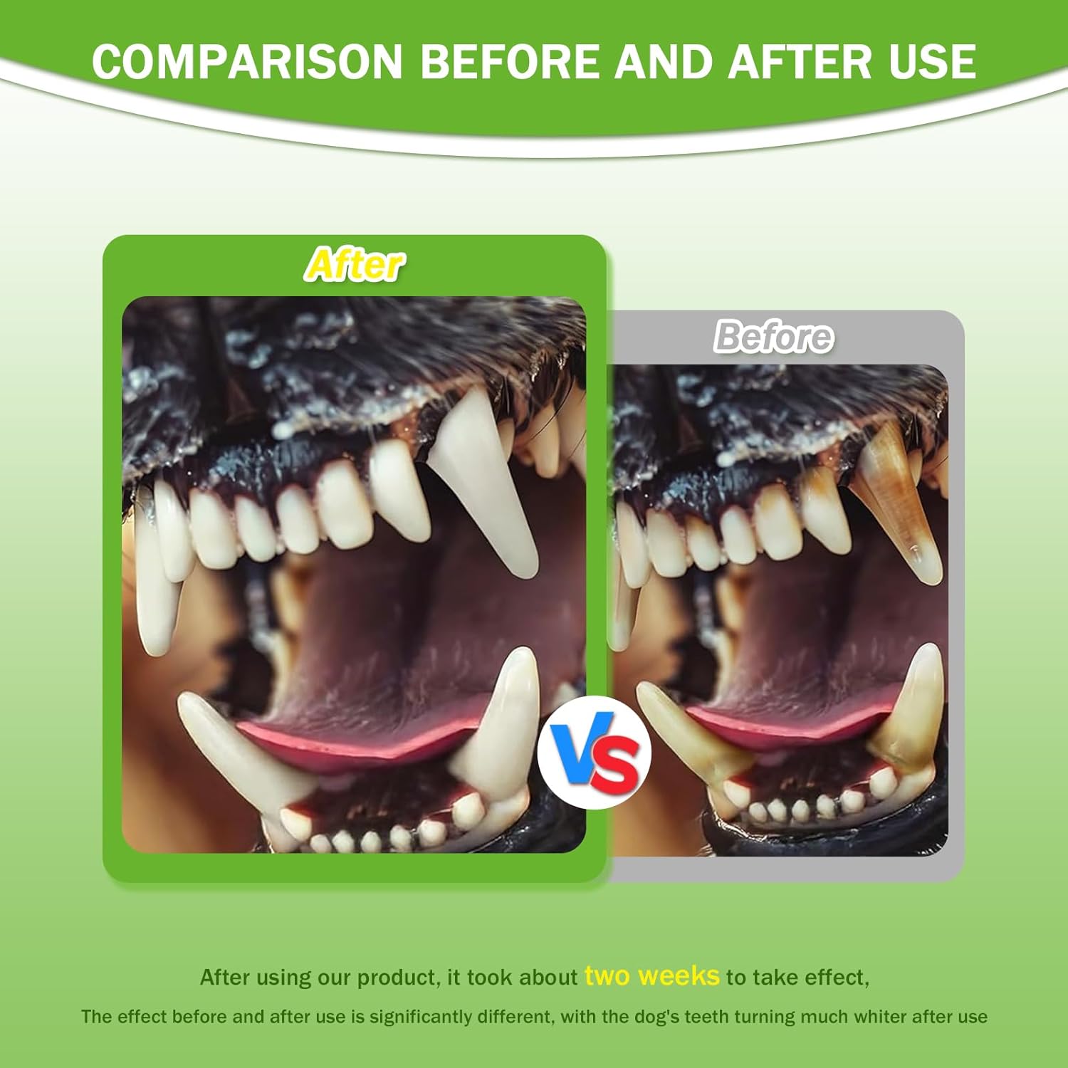 Polvo Dental para Mascotas - Refresca el Aliento, Protege las Encías y Fortalece los Dientes. Un Elemento Esencial para la Higiene Oral Diaria y General — imagen 3