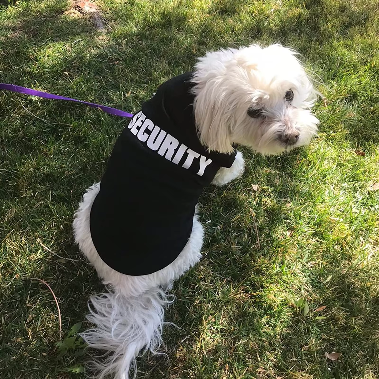 Security Clothing for Dogs Summer Pet Clothes Vest for Small Dogs Chihuahua Yorkshire Puppy Cats Low Price Pets T-shirt Costume — imagen 3