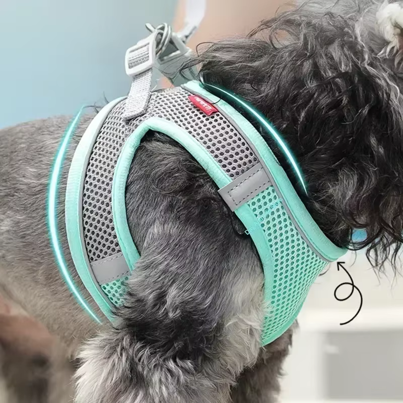 Conjunto de Arnes y Correa para Perros Pequeños - French Bulldog, Chihuahua, Pug - Líderes Deportivos Seguros para Caminatas al Aire Libre con Ajuste para Cachorros — imagen 3