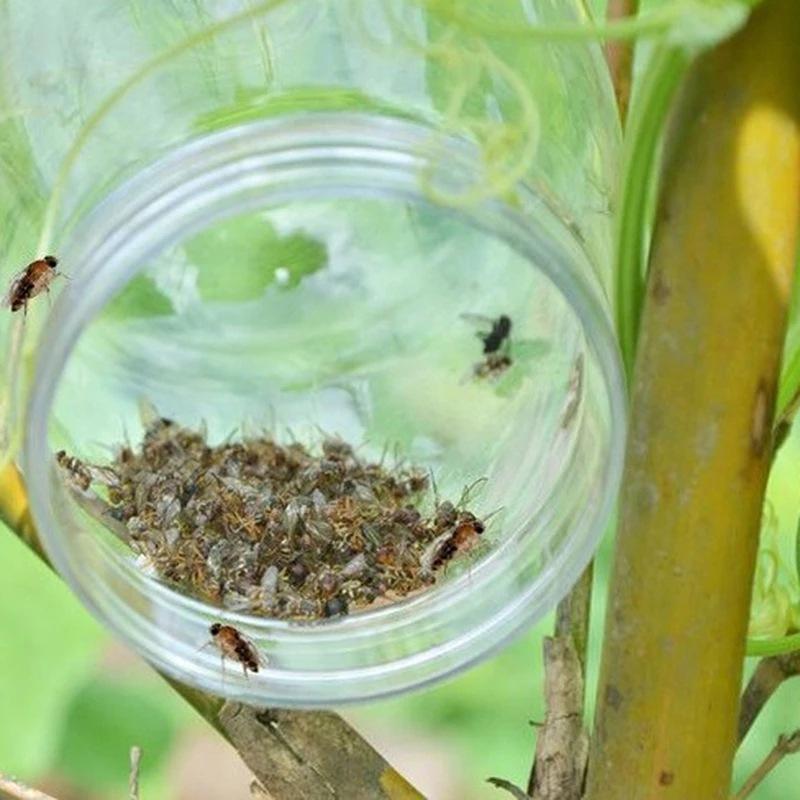 Presa de Moscas de Frutas Plástico Cazador Trampa para Drosófilas Control de Plagas — imagen 8
