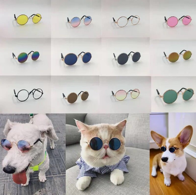 Dog, Cat, Pet Glasses, Creative Trendy Toys, Sunglasses — image 1