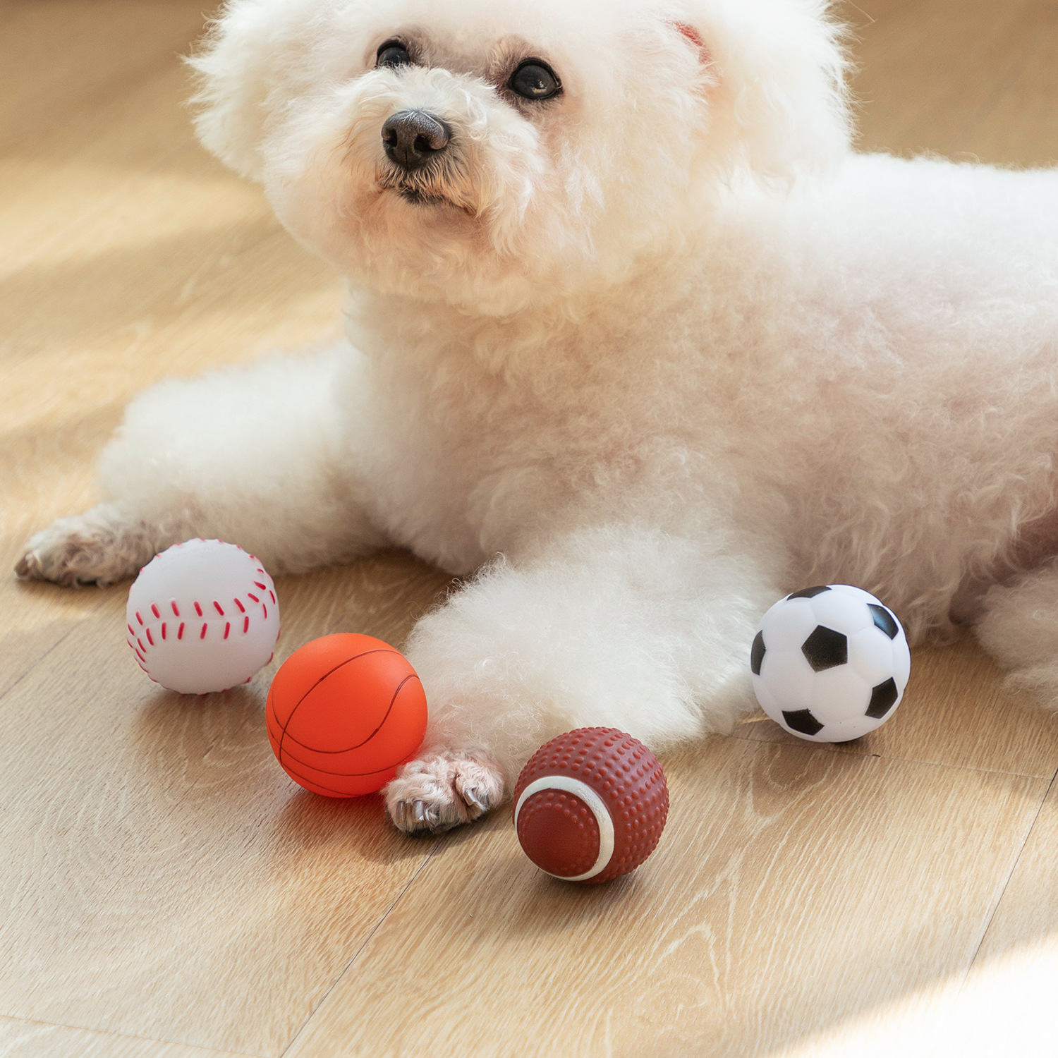 Juguetes de Película para Perros - Balón de Fútbol, Tenis, Rugby y Voleibol con Sonido — imagen 2