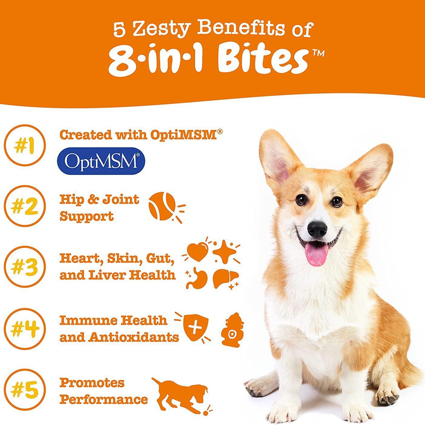 Pet Vitamin Health Product: Multi-Functional Nutritional Supplement for Dogs — image 2