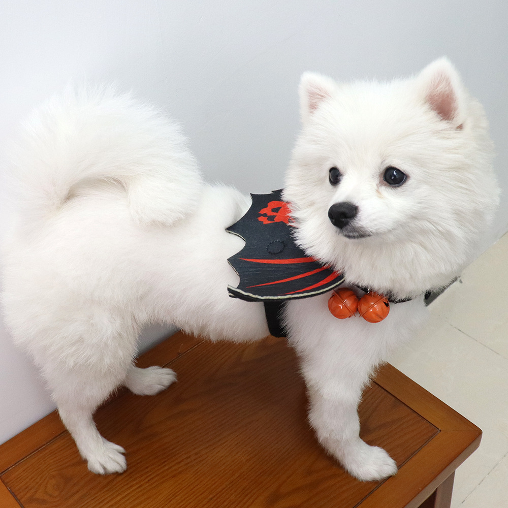 Creative Halloween Bat Wings Costume for Dogs and Cats, Funny Pet Clothing for Corgi, Pomeranian — image 5