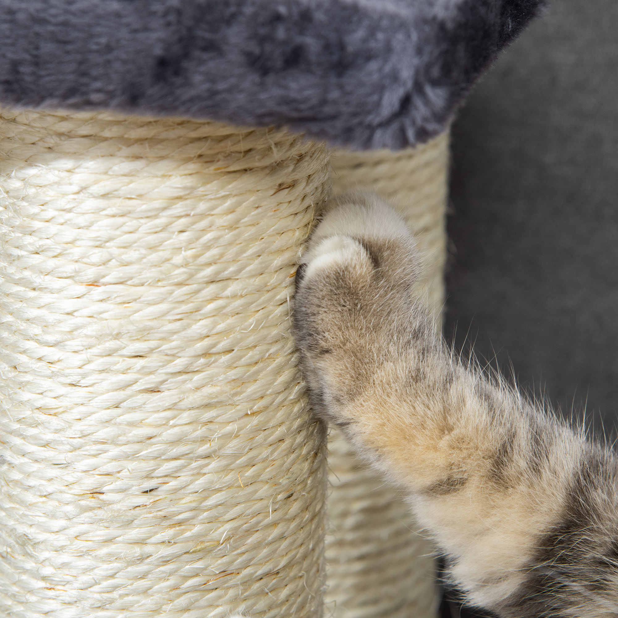 Árbol para Gatos con 4 Peldaños para Altos Colchones con Poste de Rastrillado de Sisal — imagen 7