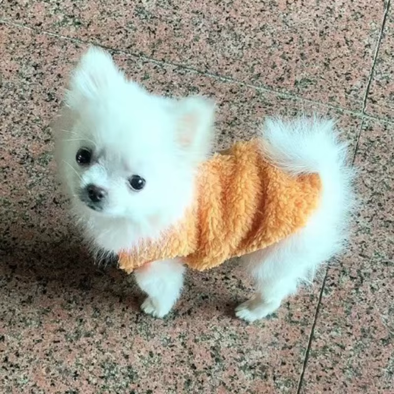 Chaquetas de invierno para perros pequeños: Sweater de taza de té con diseño divertido para cachorros y mascotas — imagen 4