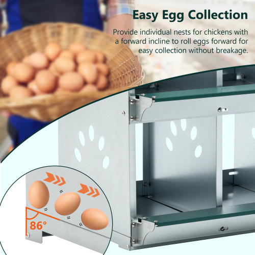 Nidales para Gallinas de 4 Compartimentos, Nidales Metálicos para Montaje en Pared, Caja Ponedora de Huevos para Diferentes Razas de Gallinas — imagen 6