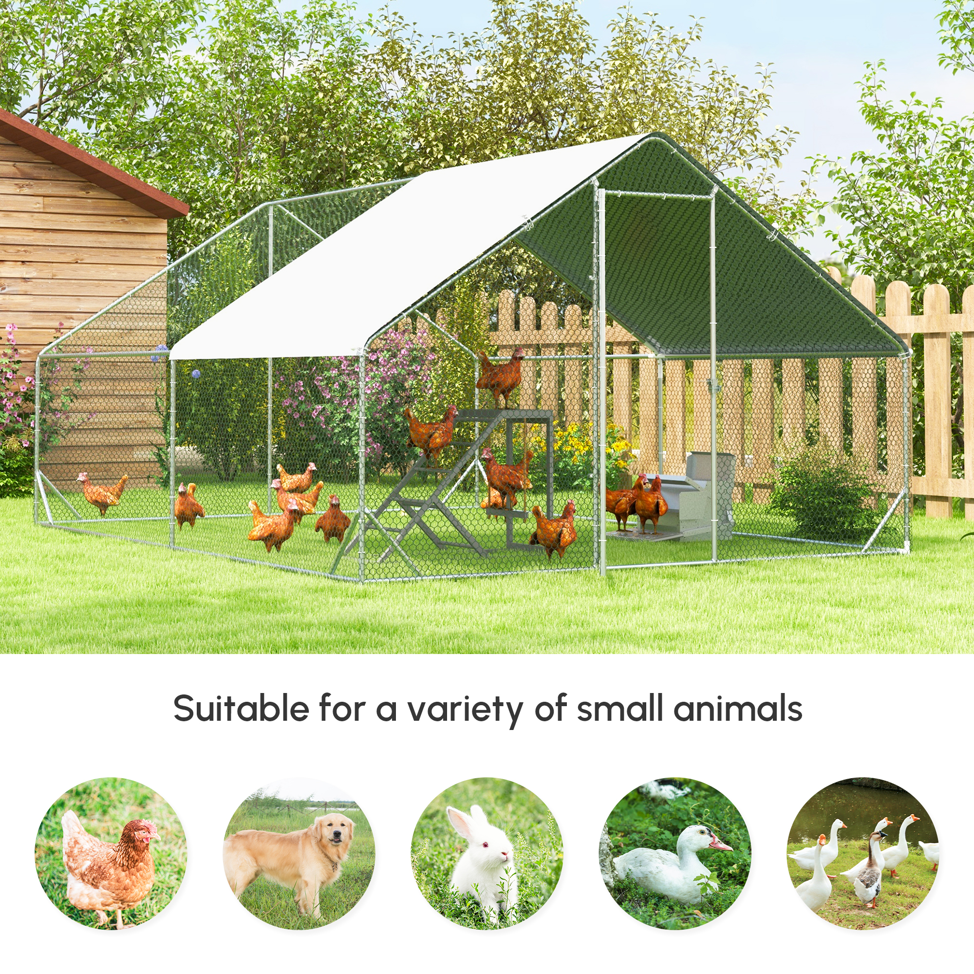 Corral para Gallinas de Estructura Metálica 10 x 13 x 6.5, Gallinero Exterior con Cubierta y Puerta con Cerradura — imagen 3