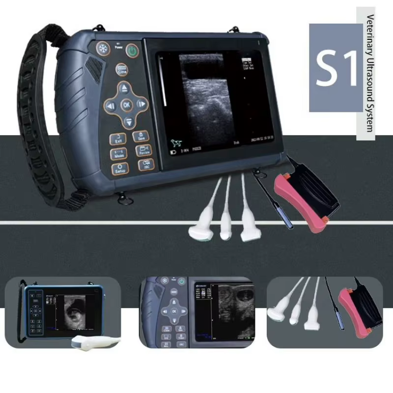 Portable Veterinary Ultrasound Scanner Vet B-Ultra Pregnancy Machine Handheld (B, BB, 4B, B+M, M) for Pig Sheep Cattle Horse Dog — image 4