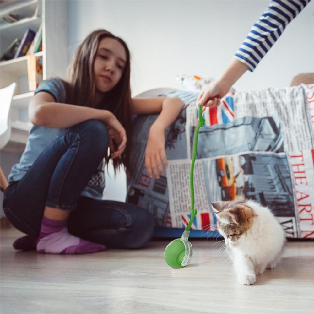 Pelota Rodante Interactiva para Gatos — imagen 17