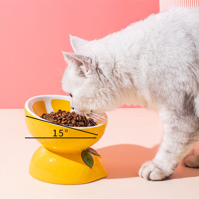 Ceramic Cat Food Bowl To Protect Cervical Vertebra Oblique Mouth Pet Bowl — image 5