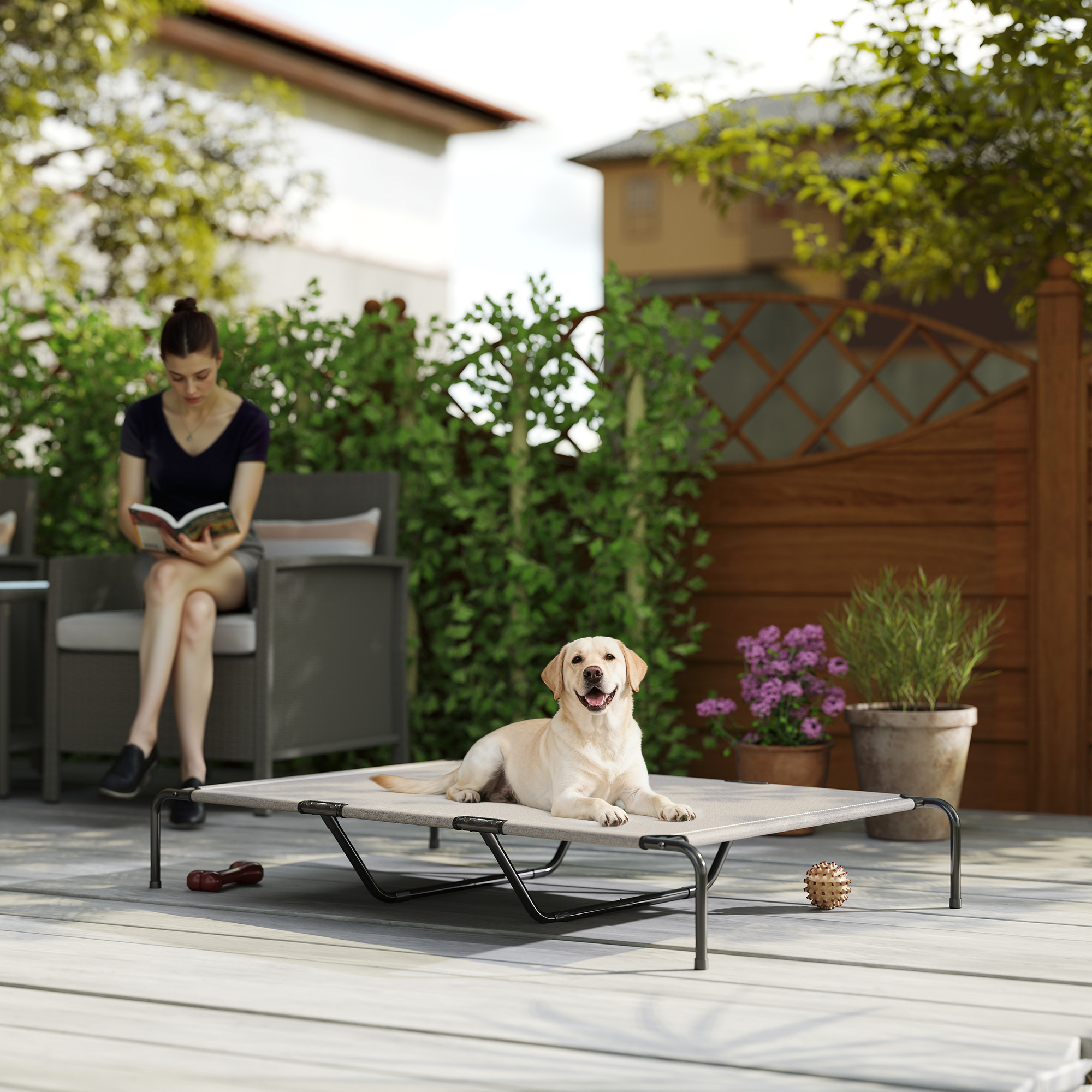 Cama Elevada para Perros Grandes Beige 60"L