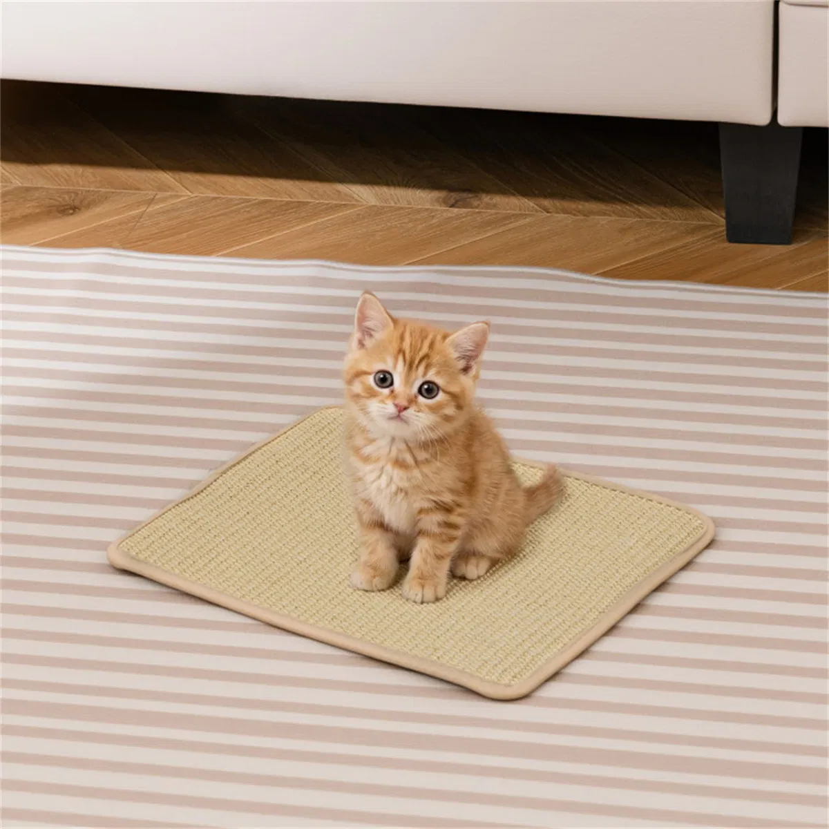 Natural 6-Piece Cat Scratching Mats, Sisal Material Anti-Slip Latex Backing Furniture Protector — image 8