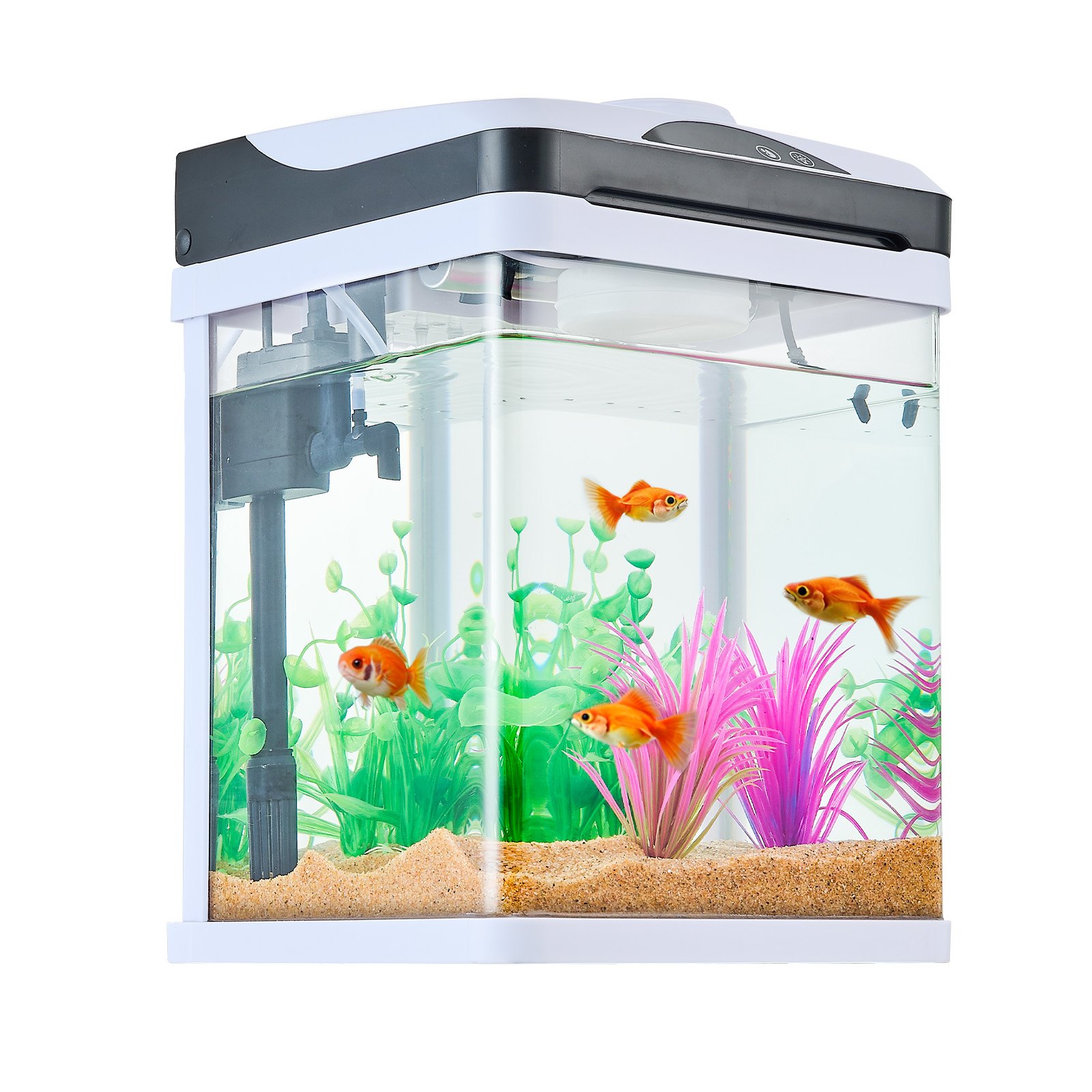 Acuario de 2 Galones Pecera Inteligente Cuadrada de Vidrio Transparente con LED 7 Colores y Autolimpieza — imagen 3
