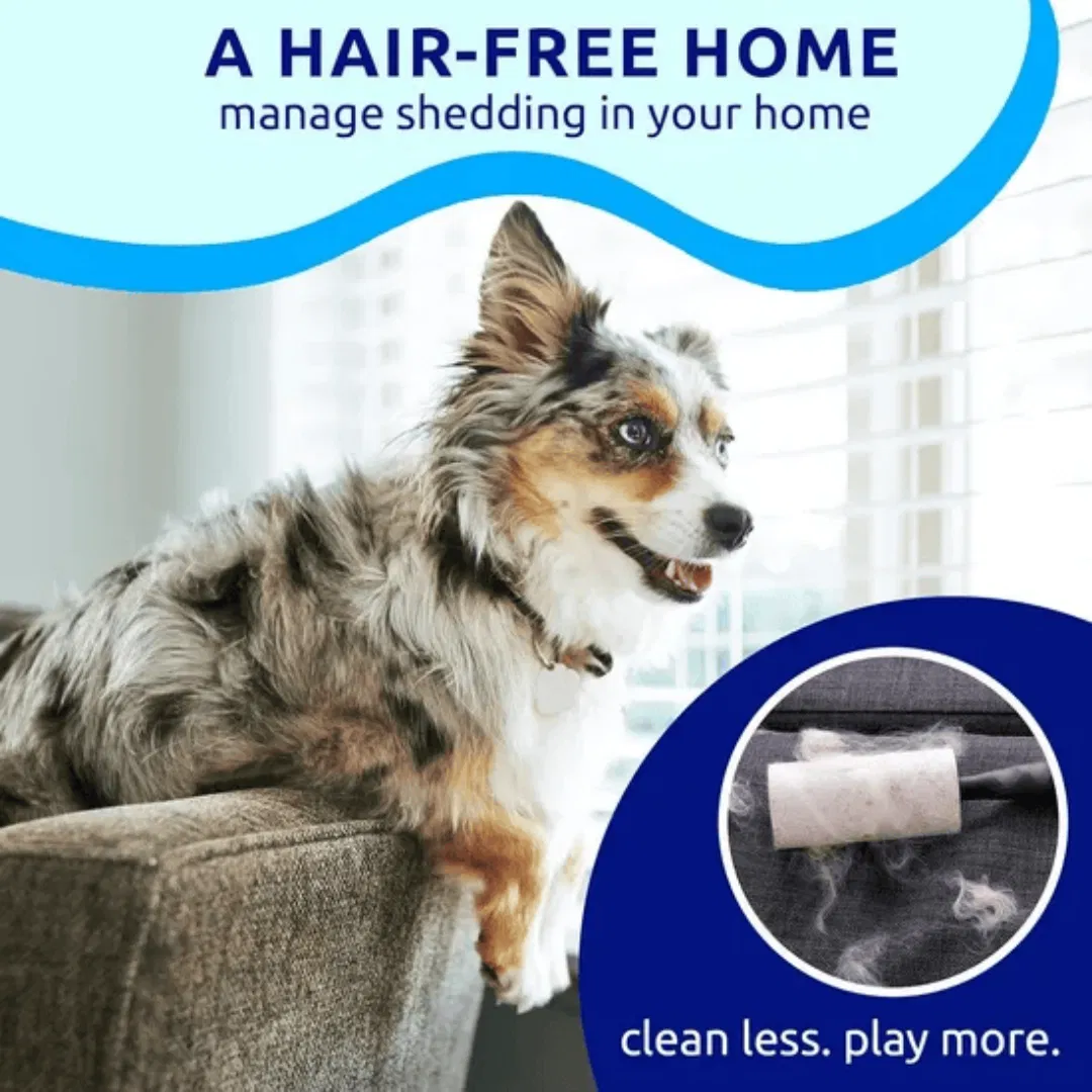Blue pat your pet hair removal dog brush for hair removal - indoor cats use cat brush, long and short haired dogs use double-sided cat brush for hair removal and beauty tools, skin friendly — image 3
