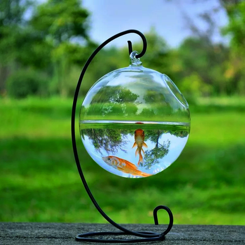 Vaso de Vidrio Suspendido para Acuario — imagen 3