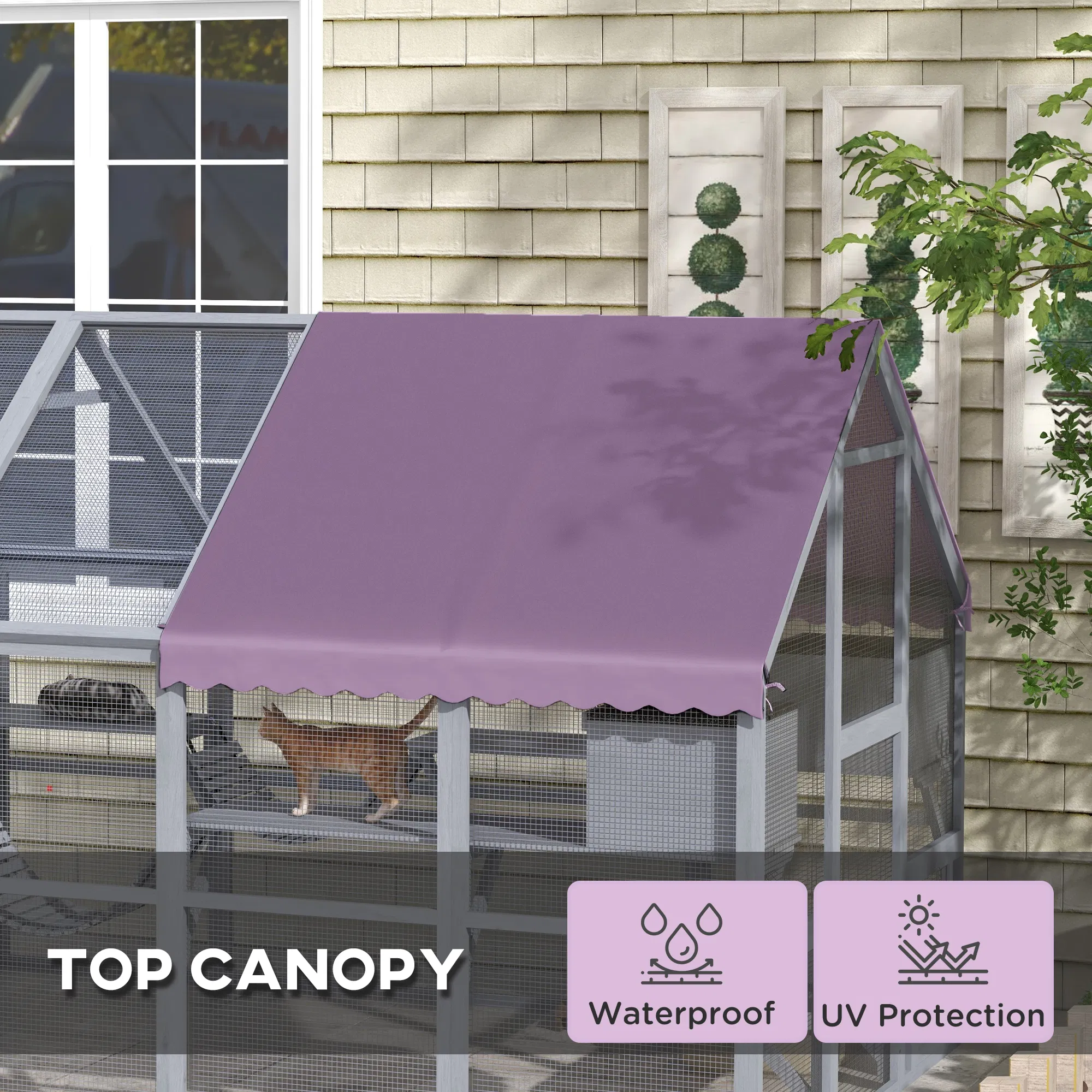 Outdoor Cat Enclosure Wooden Feral Cat House w/ Weatherproof Canopy, Bridges, Resting Boxes, Platforms, for 3-6 Cats — image 4
