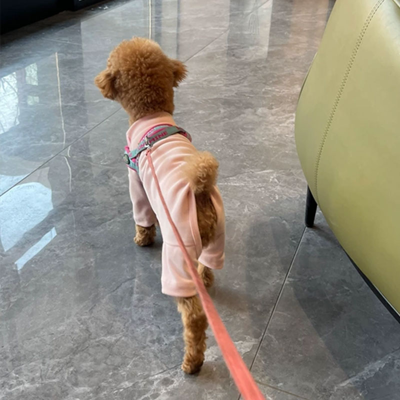 Elastic Pet Onesie, Four-Legged Pajamas for Small to Medium Dogs, Cream Color, Cozy Home Base Shirt, Warm Winter Dog Clothes — image 4