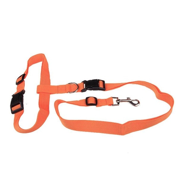 Correa de Tracción Atractiva para Perros, Ideal para Correr y Trotar, Conveniente, Segura y de Moda — imagen 5