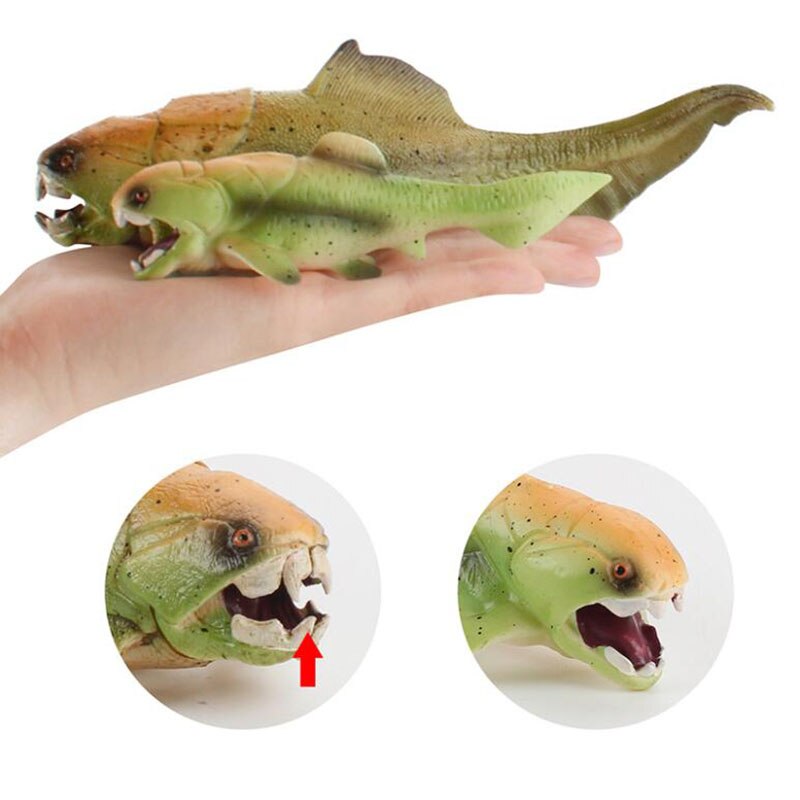 Figuras de Animales Marinos Antiguos para Decoración - Peces, Calamares y Ammonites — imagen 1