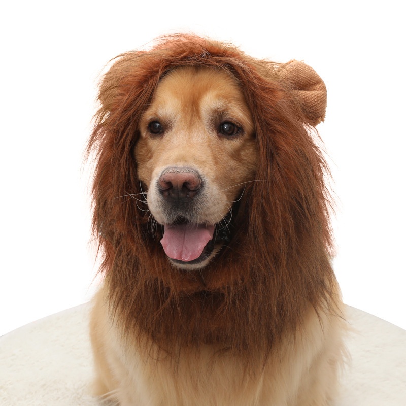 Ropa para Mascotas - Sombrero de León para Perros — imagen 3