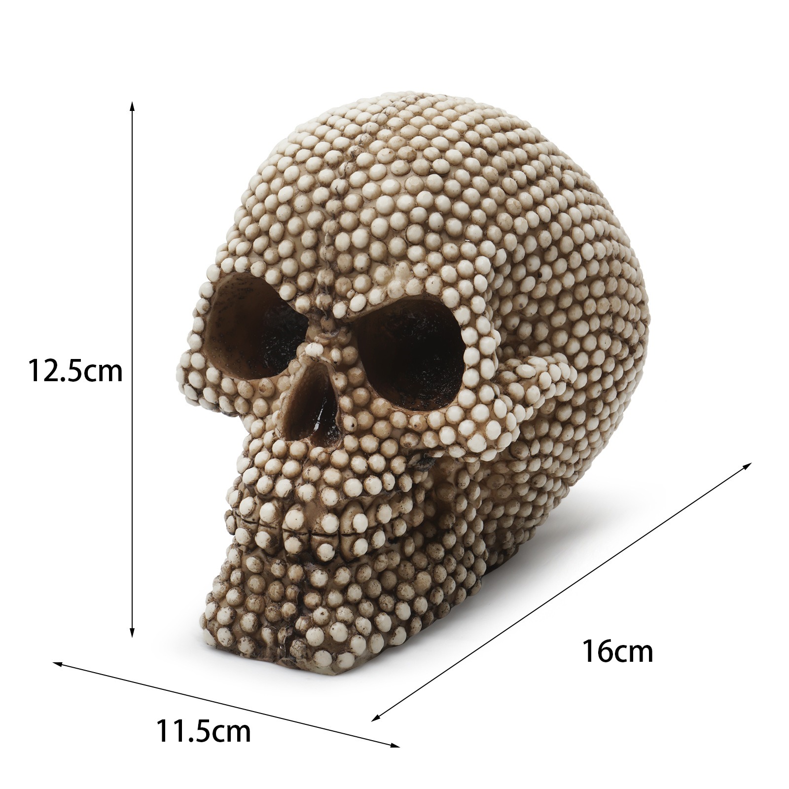 Cabeza de Calavera Cabeza de Calavera Adorno de Cráneo Animal — imagen 2