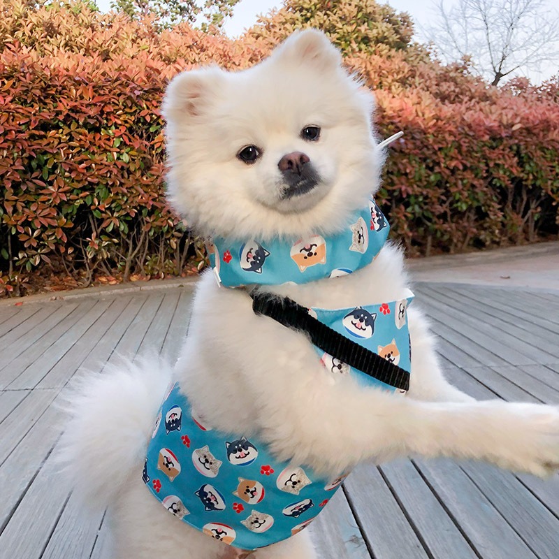 Manta de enfriamiento para mascotas - Vestido de refresco para perros en verano — imagen 1
