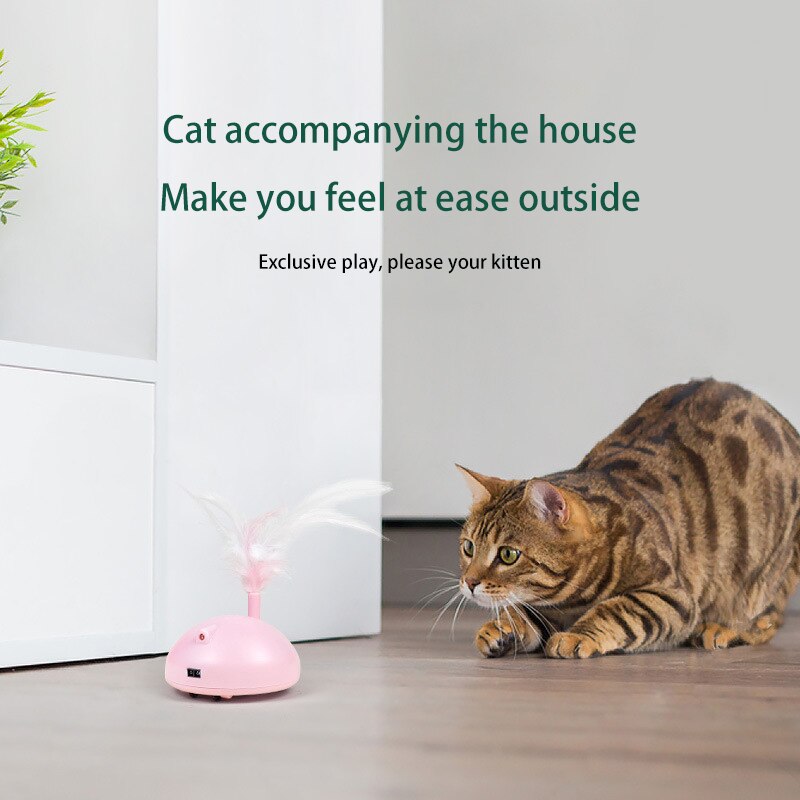 Long Cat Bowl Non-Slip Multi-Cat Food Utensils Neck Guard Oblique Mouth Cat Food Bowl Pet Bowl Kitten Pet Supplies — image 2