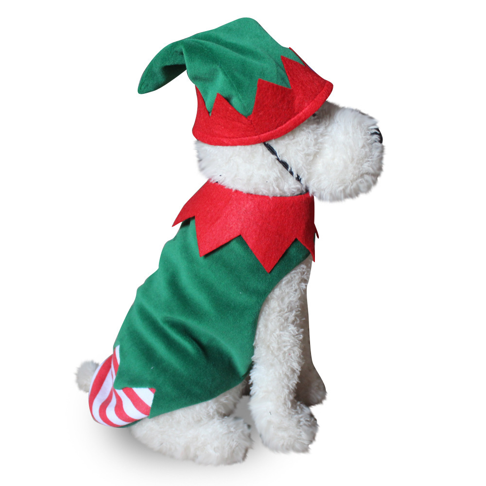 Dog Halloween costume with funny costumes — image 4